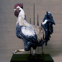 "Cock & hens"
